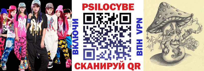 как найти наркотики  мега ссылка  Псилоцибиновые грибы Magic Shrooms  Карабаново 